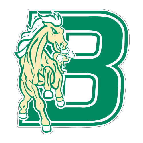 Medium Decal-Bronoc, 8 in tall