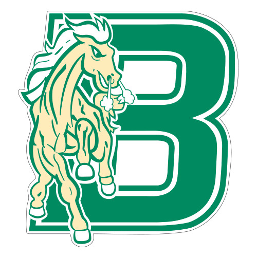 Large Decal-Bronoc, 12 in tall