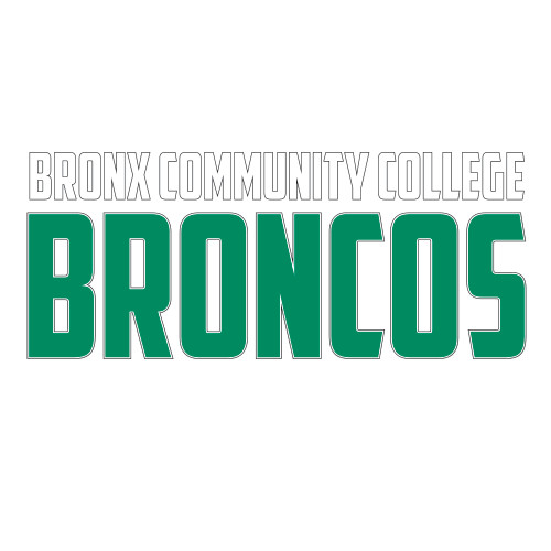 Large Decal-Bronx Community College Bronocs, 12 in wide