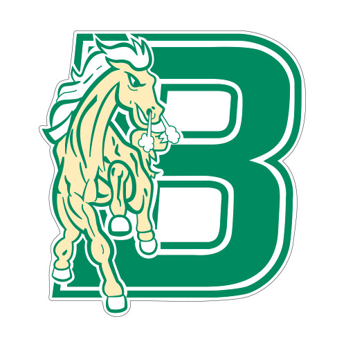 Small Decal-Bronoc, 6 in tall