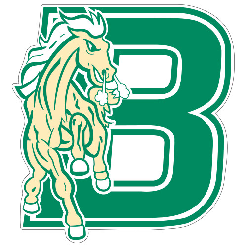 Extra Large Decal-Bronoc, 18 in tall