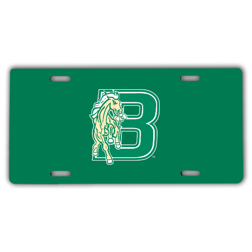 License Plate-Bronoc