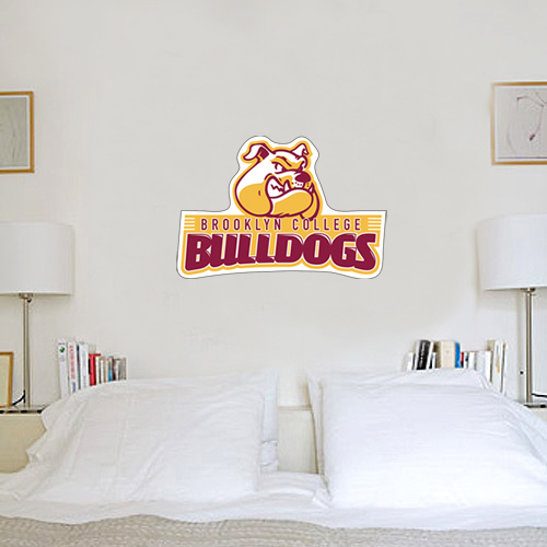 2 ft x 3 ft Fan WallSkinz-Brooklyn College Athletic Mark