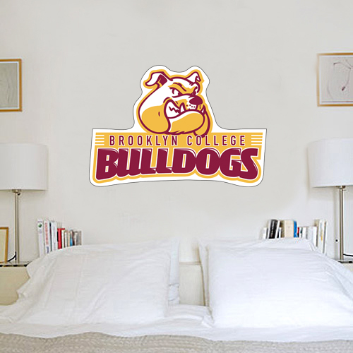 4 ft x 5 ft Fan WallSkinz-Brooklyn College Athletic Mark
