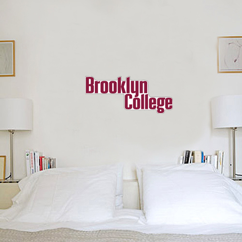1 ft x 3 ft Fan WallSkinz-Brooklyn College