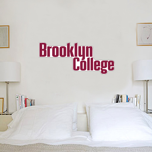 2.5 ft x 6.5 ft Fan WallSkinz-Brooklyn College