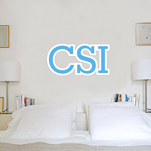 1 ft x 3 ft Fan WallSkinz-CSI