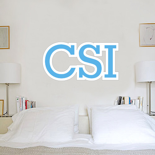 1.5 ft x 4 ft Fan WallSkinz-CSI
