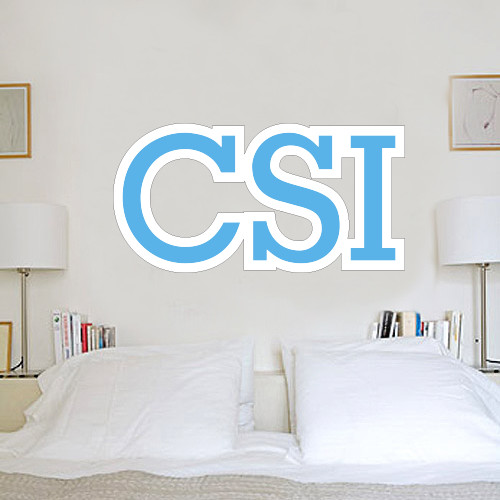 2.5 ft x 6.5 ft Fan WallSkinz-CSI
