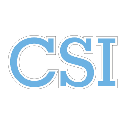 Medium Decal-CSI