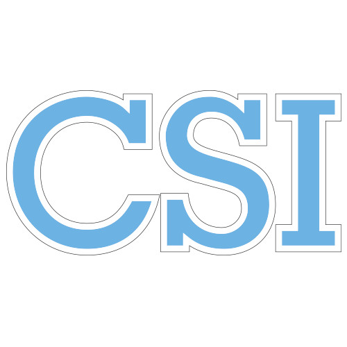 Extra Large Decal-CSI