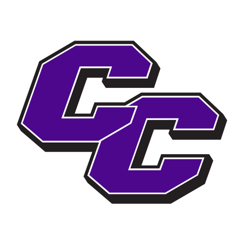  Medium Decal - Curry College Wordmark Flat