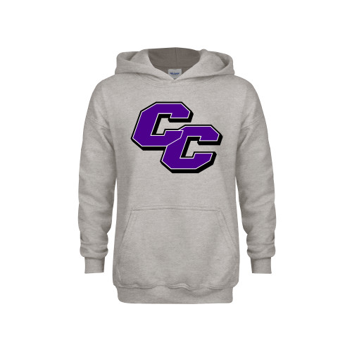  Youth Grey Fleece Hood - Curry College Primary Athletic Mark