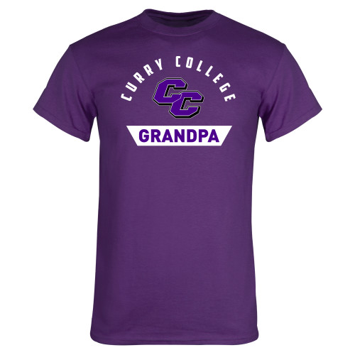 Main Image for  Purple T Shirt