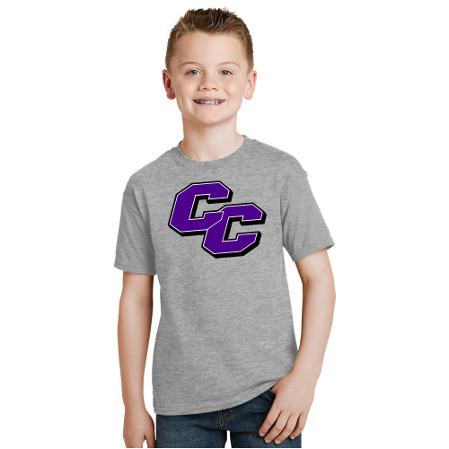  Youth Grey T Shirt - Curry College Primary Athletic Mark