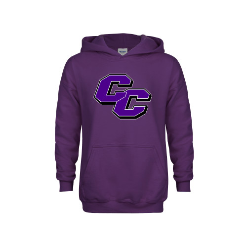  Youth Purple Fleece Hoodie - Curry College Primary Athletic Mark