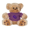 Thumbnail image for  Plush Big Paw 8 1/2 inch Brown Bear w/Purple Shirt