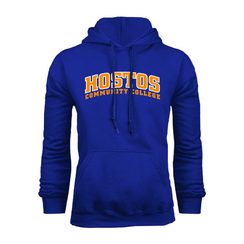 Community College Royal Fleece Hoodie-Hostos Community College Arch