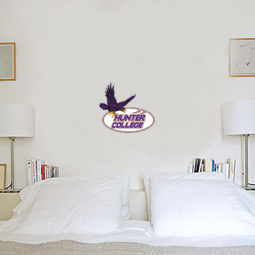 1 ft x 1 ft Fan WallSkinz-Hunter College