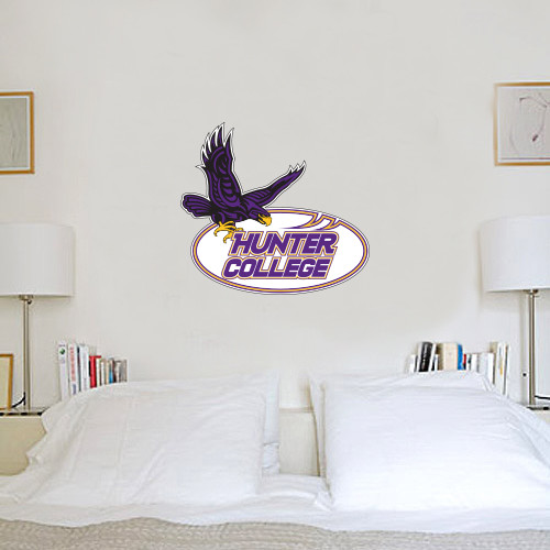 2 ft x 2 ft Fan WallSkinz-Hunter College