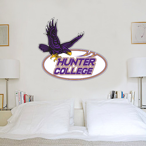3 ft x 3 ft Fan WallSkinz-Hunter College