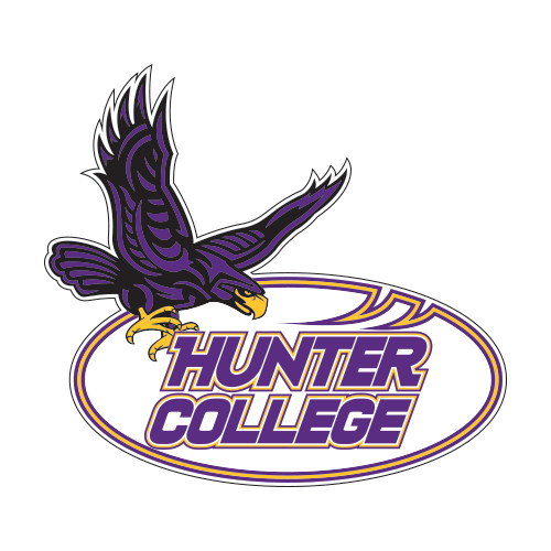 Medium Decal-Hunter College, 8 in long