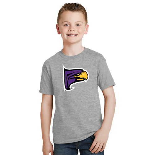 Youth Grey T-Shirt-Hawk Head