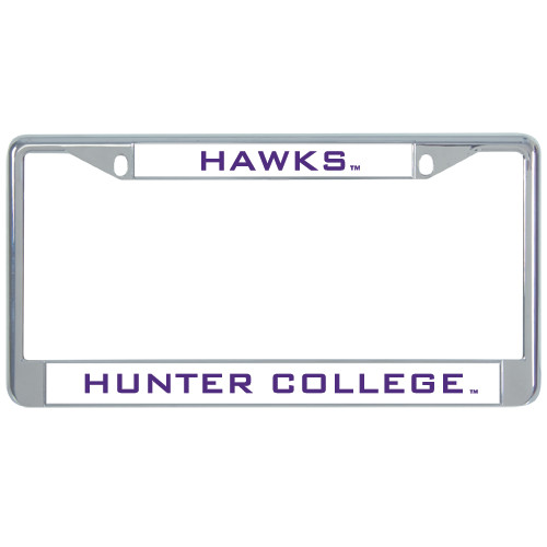 Metal License Plate Frame in Chrome-Moscot