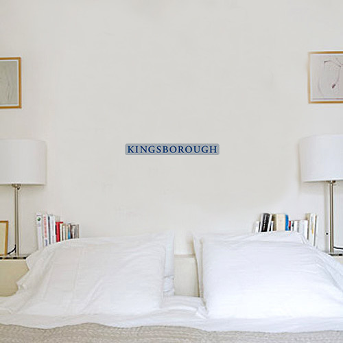 Community College 6 in x 1 ft Fan WallSkinz-Kingsborough