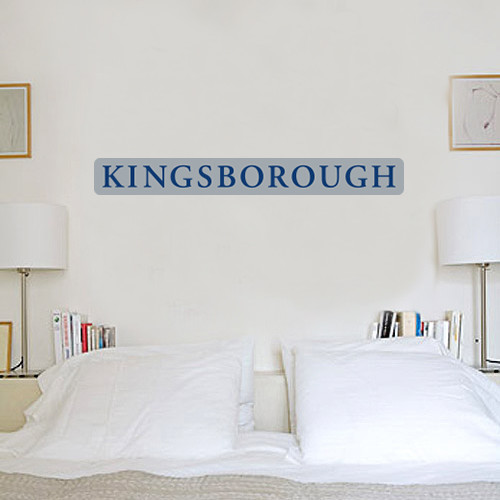 Community College 1 ft x 3 ft Fan WallSkinz-Kingsborough