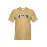 lehman college sweatshirt