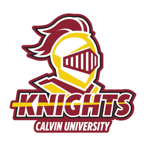  Medium Decal - Knights with University
