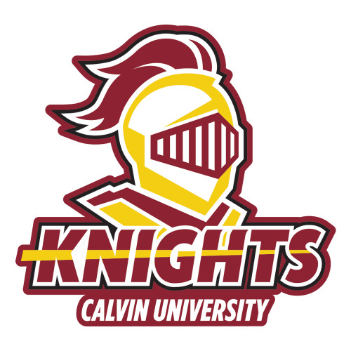  Large Decal - Knights with University
