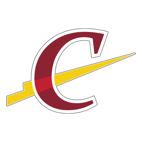  Large Decal - Athletic C
