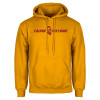 Thumbnail image for  Gold Fleece Hoodie