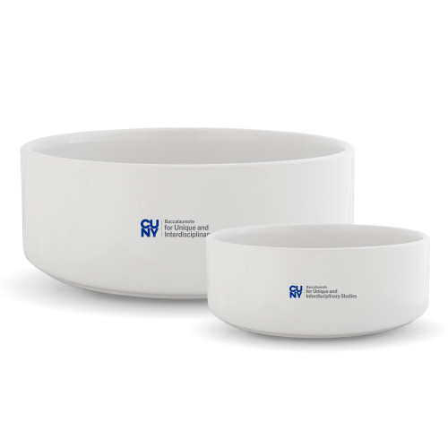 Ceramic Dog Bowl-CUNY Baccalaureate Primary Mark