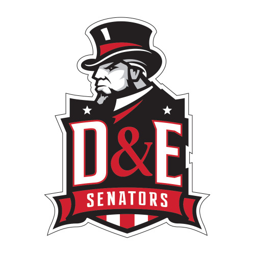  Medium Decal - DE Senators