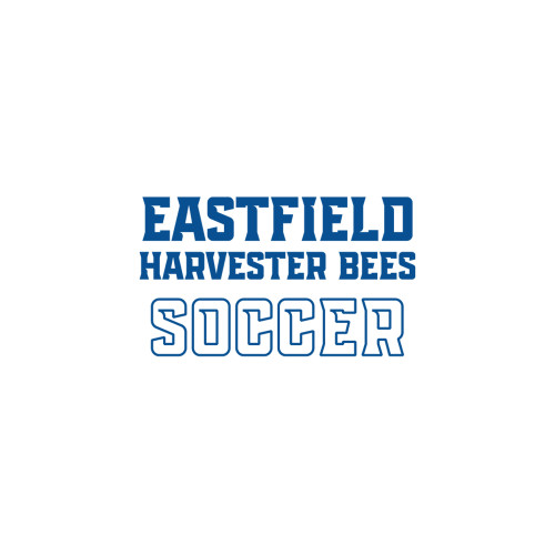 Medium Decal - Eastfield Harvester Bees Soccer