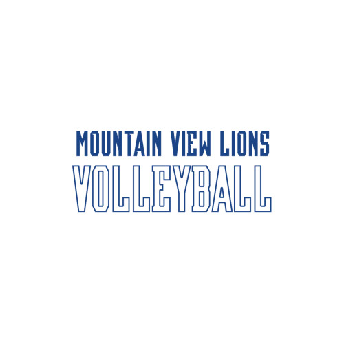  Medium Decal - Volleyball