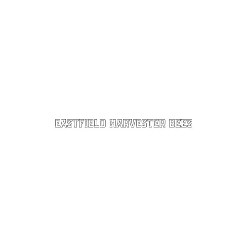  Medium Decal - Eastfield Harvester Bees Flat Text