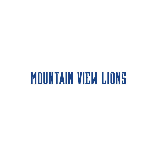  Medium Decal - Mountain View Lions Flat Text