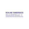 Thumbnail image for  Medium Decal