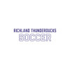 Thumbnail image for  Medium Decal