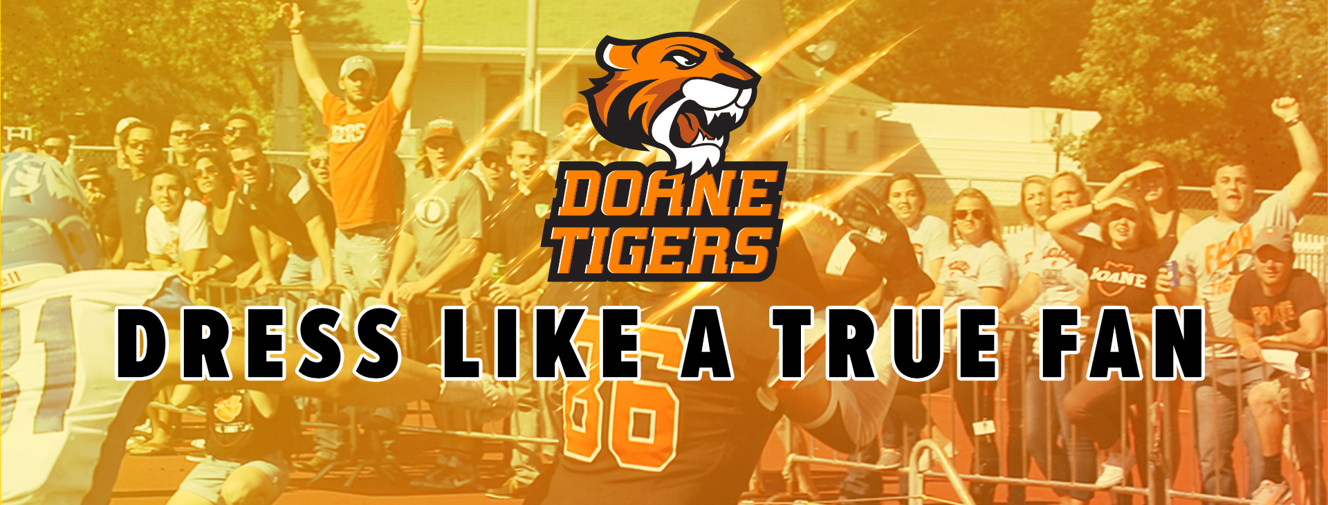 Promotional banner