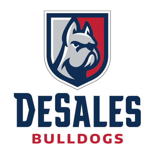  Medium Decal - Primary Logo