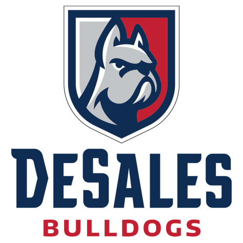  Extra Large Decal - Primary Logo