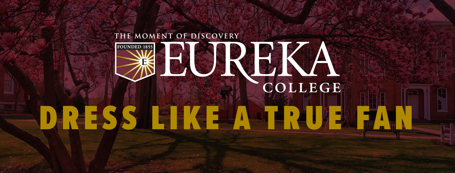 Promotional banner