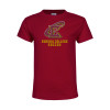Thumbnail image for  Youth Maroon T Shirt