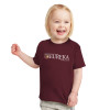 Thumbnail image for  Toddler Maroon T Shirt