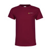 Thumbnail image for  Youth Maroon T Shirt